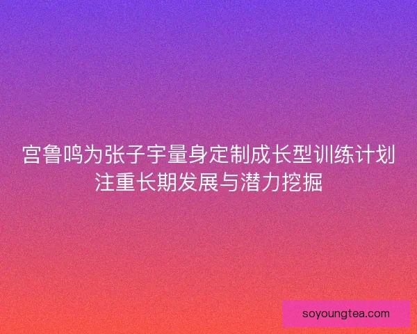 宫鲁鸣为张子宇量身定制成长型训练计划注重长期发展与潜力挖掘